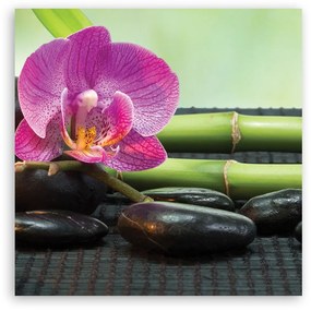 Obraz na plátně, Orchidej na černých kamenech - 40x40 cm