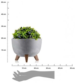 Kvetináč Rosa Linea 24x15 cm sivý betón