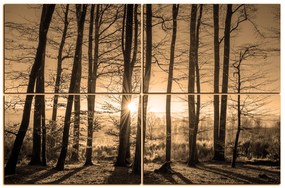 Obraz na plátne - Jesenné ráno v lese 1251FE (120x80 cm)