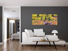Obraz - Karibu na Aljaške (120x50 cm)
