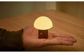 Biela/v tmavoprírodnej farbe LED stolná lampa (výška 7 cm) Alice Mushroom – Gingko