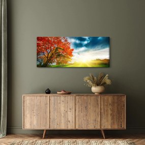 Obraz krajiny zaliate slnečným svitom (120x50 cm)