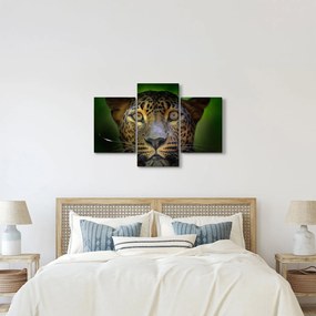 Obraz - Portrét leoparda, Sri Lanka (90x60 cm)