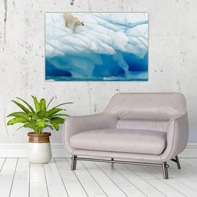 Obraz - Polárny medveď (90x60 cm)
