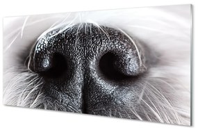 Sklenený obraz psie ňufák 100x50 cm