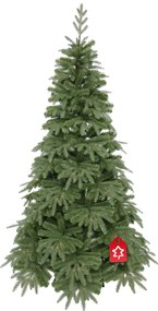 Jedľa Prírodná 150 cm