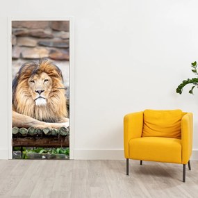 Fototapeta na dvere - Lev (95x205cm)