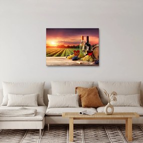 Obraz vinice s vínom (70x50 cm)