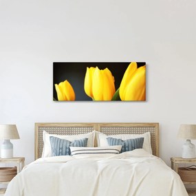 Obraz tulipánov (120x50 cm)