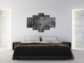 Obraz - Sušená pampová tráva (150x105 cm)