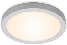 Briloner 7141-014 - LED Stropné svietidlo FIRE LED/21W/230V 3000K