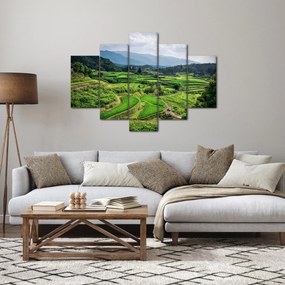 Obraz ryžových polí (150x105 cm)