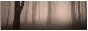Obraz na plátne - Hmla v lese - panoráma 5182FA (120x45 cm)
