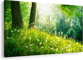 Obraz - Magická lúka plná púpav (90x60 cm)