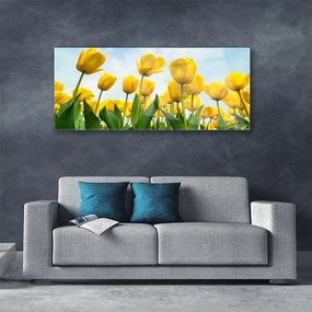 Obraz plexi Tulipány kvety rastlina 125x50 cm