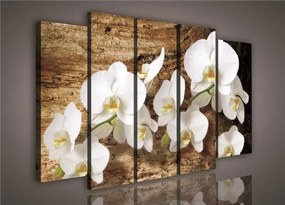 Obraz na plátne orchidea na dreve 150 x 100 cm