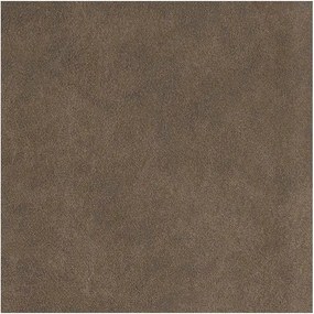 Hnedé čalúnené jedálenské kreslá v súprave 2 ks Anzo – Støraa