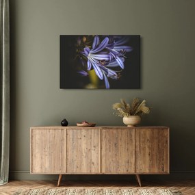 Obraz - Lila (90x60 cm)
