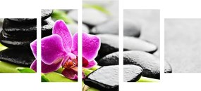 5-dielny obraz wellness zátišie s fialovou orchideou - 100x50