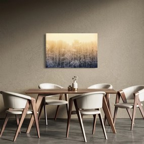 Obraz mrazivého lesa (90x60 cm)