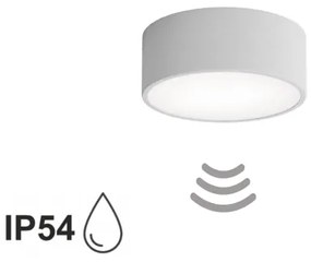 Kúpeľňové stropné svietidlo CLEO so senzorom, 1×E27, 24 W, 230 V, priemer 20 cm, krytie IP54, sivé