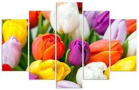 Obraz na plátně pětidílný Barevné tulipány Květiny - 200x100 cm