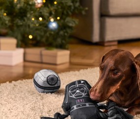 Pískacia plyšová loptička pre psov »Star Wars«