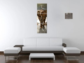 Gario Obraz s hodinami Osamelý silný slon - 3 dielny Rozmery: 30 x 90 cm