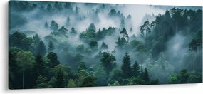 Obraz - Les v hmle (120x50 cm)