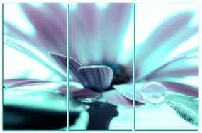 Obraz na plátne - Kvapka rosy na lúpeňoch kvetu 180FB (105x70 cm)