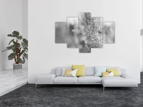 Obraz - Boho pampas grass (150x105 cm)