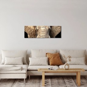 Obraz - Slon africký (s hodinami) (90x30 cm)
