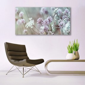 Obraz plexi Poľné kvety lúka príroda 120x60 cm