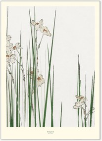 Nástenná dekorácia Jonquil