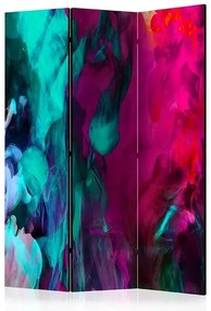 Paraván - Color madness [Room Dividers] Veľkosť: 135x172, Verzia: Obojstranný