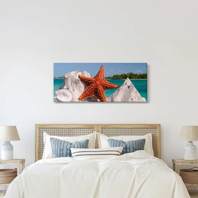Obraz morskej hviezdice (120x50 cm)