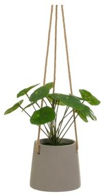 Umelá rastlina (výška 24 cm) Pilea – Casa Selección