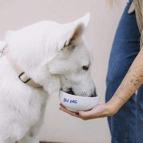 Bella Rose Porcelánová miska Dej pac  450 ml