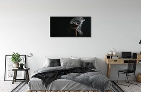 Obraz canvas žena dym 140x70 cm