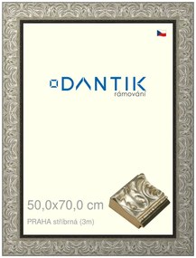 DANTIK rám na obraz 50x70 | PRAHA stříbrná (Plexi Čiré)