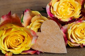 Obraz valentínske žlté ruže Varianta: 120x80