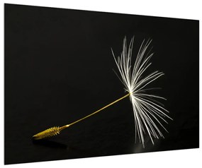 Obraz páperia púpavy (90x60 cm)
