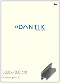 DANTIK rám na obraz 50x70 | ALU Ocelová (Plexi Čiré)