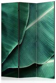 Paraván - Banana Leaf [Room Dividers] Veľkosť: 135x172, Verzia: Akustický