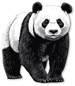 drevko |  Obraz Pokojná panda  55 x 475 cm