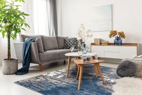 Moderný koberec COZY 8876 Rio, modrý