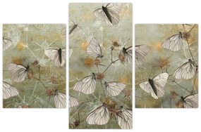 Obraz - Vintage motýle (90x60 cm)