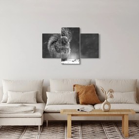 Obraz - Veverička v zime (90x60 cm)