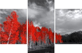 Obraz - Stromy vo farbe jesene (90x60 cm)