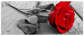 Obraz červených ruží (120x50 cm)
